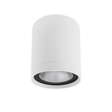 MT-WG-715R-30D-WH-3K